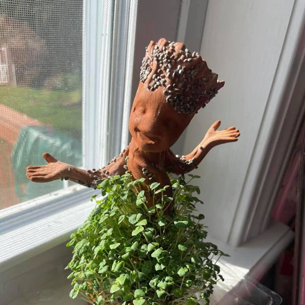 Meet your Posher, Nancy